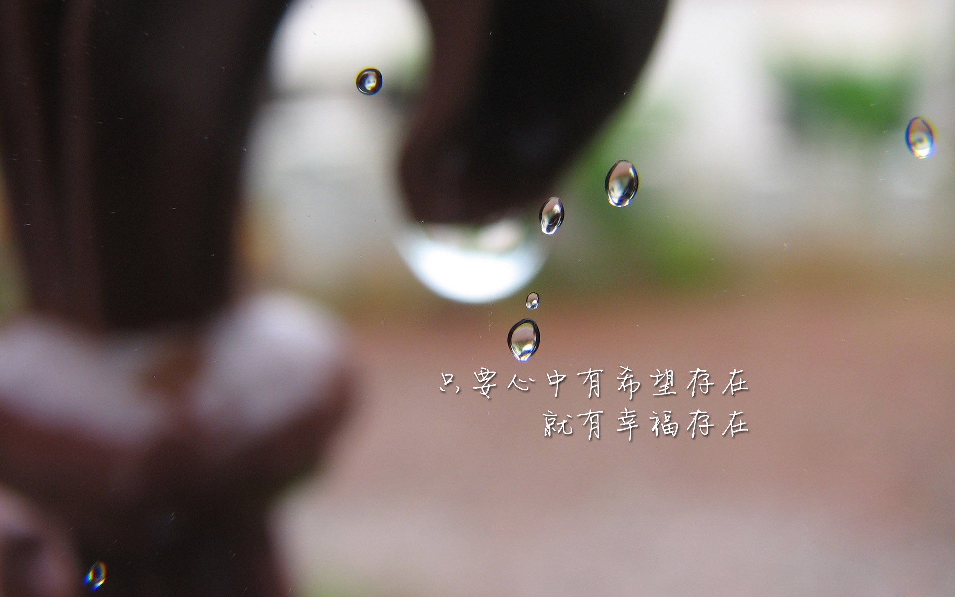 学生体质健康追踪系统区域数据互通机制设计，学生体质健康数据网