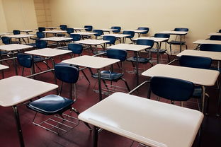 乐鱼体育入口-校园体育活动对学生心理弹性的促进，学校体育对青少年心理方面的影响
