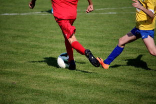 乐鱼体育在线网站-篮球训练计划科学制定与执行效果评估，篮球训练计划制定与范例