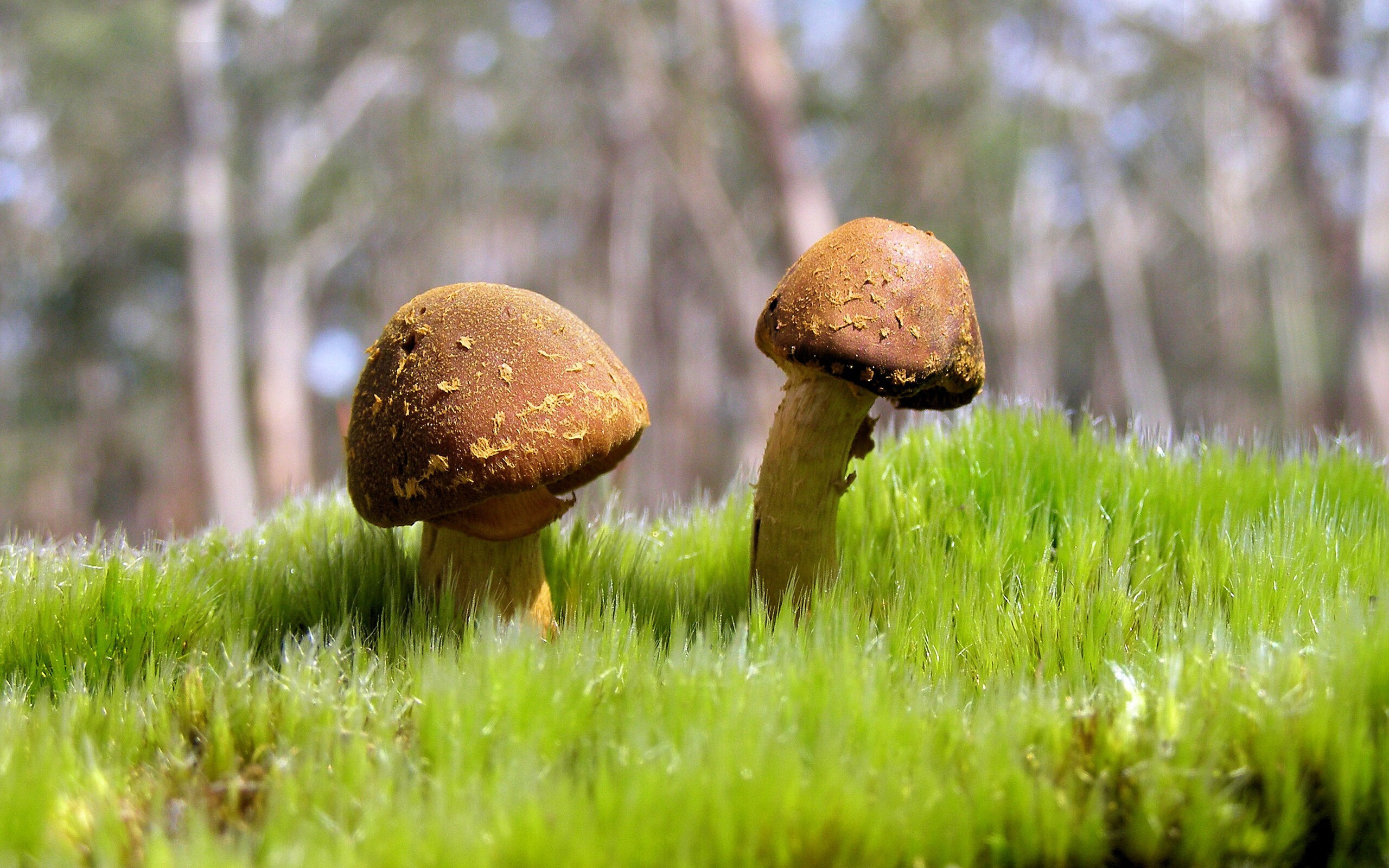 英超球队引入神经反馈训练提升球员注意力集中度,英超 俱乐部培养