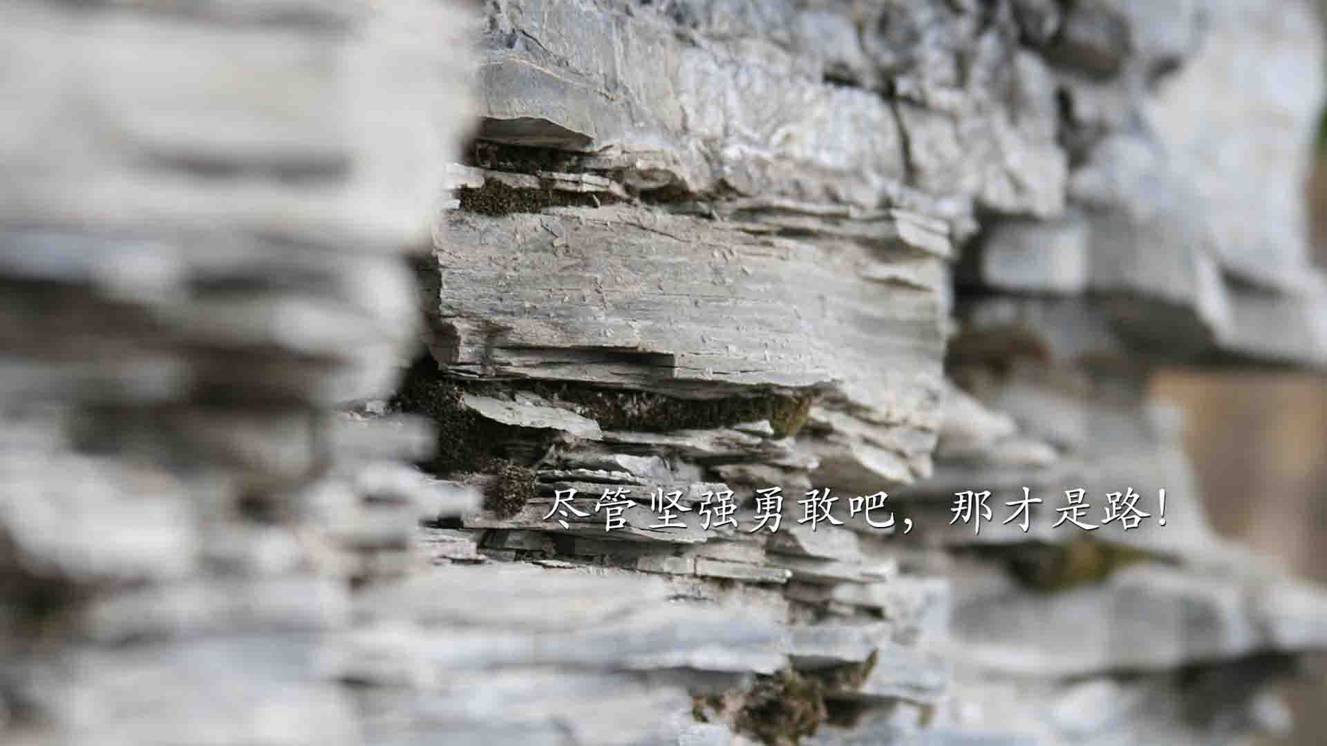 乐鱼体育官网注册-中国乒乓球名将回归助阵国家队集训，中国乒乓球队员回国了吗