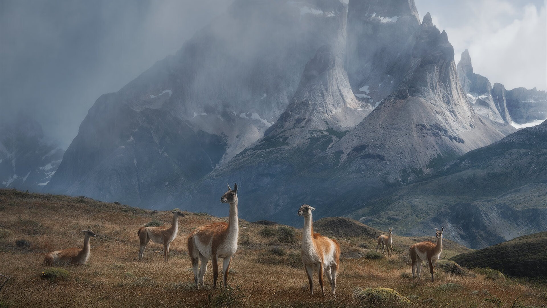 乐鱼体育app官网入口-俱乐部与媒体之间缺乏建设性合作机制，俱乐部发展建议