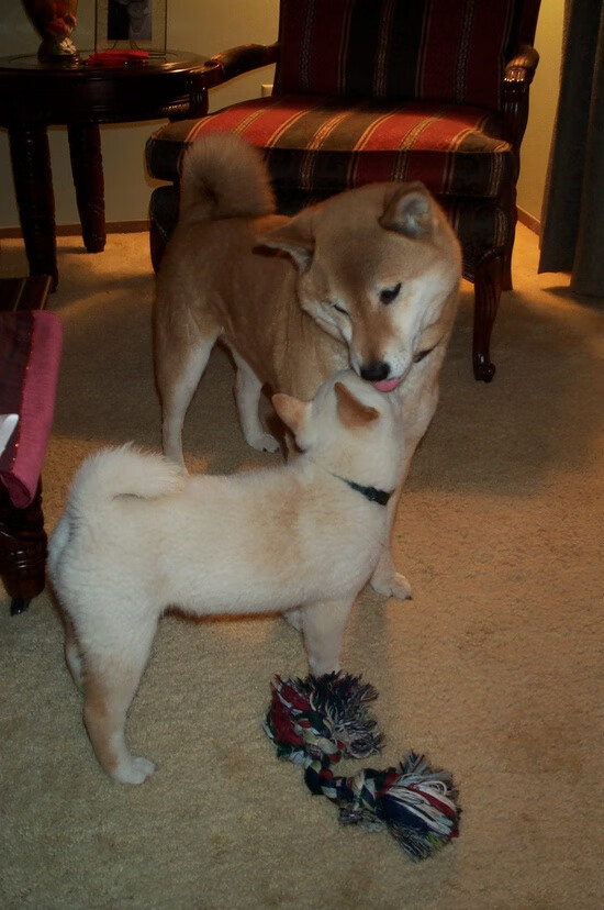 乐鱼官网-印度赛制改革：向国际化赛事标准看齐，印度的比赛