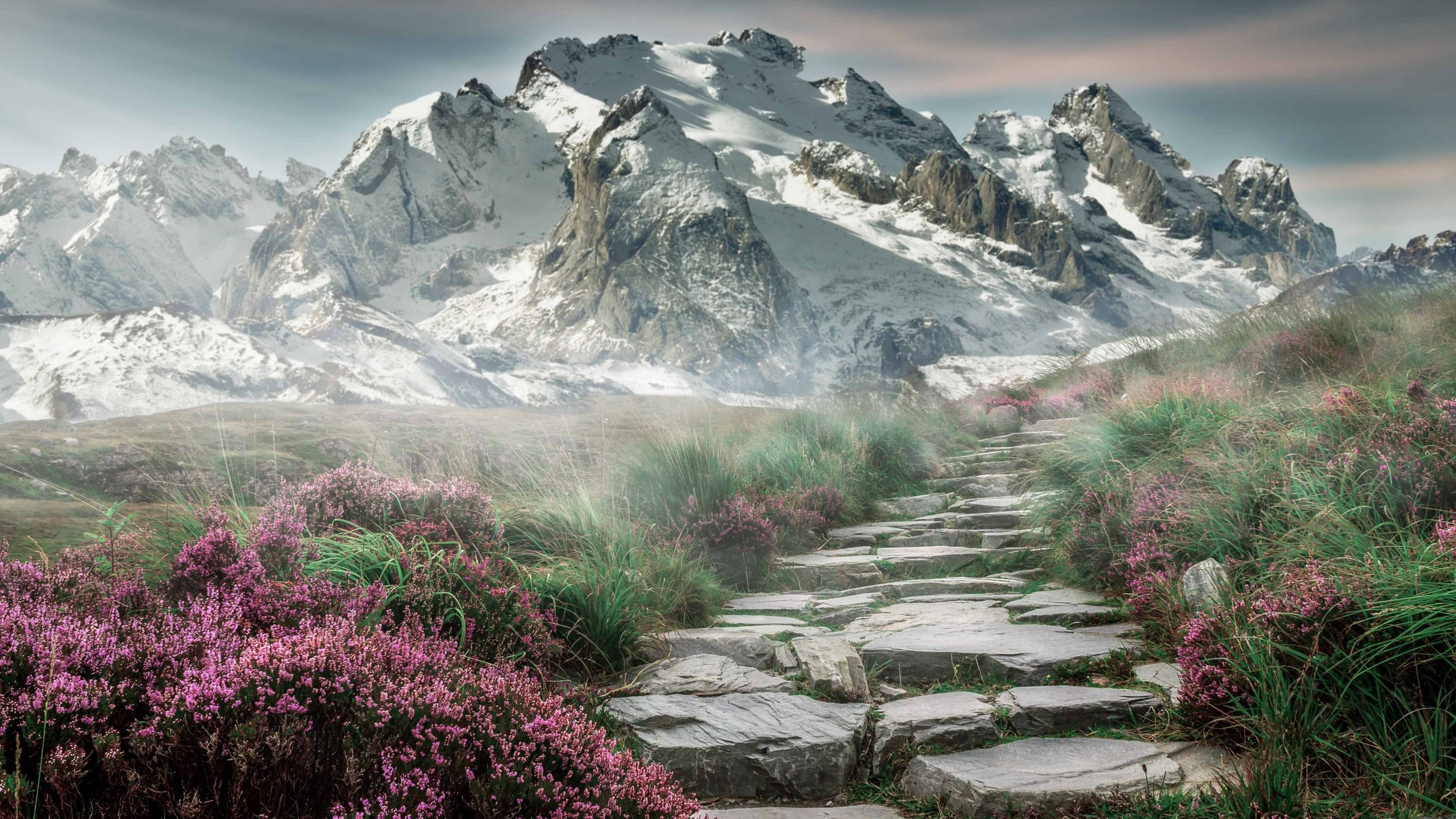 快节奏下掩护战术是否更难形成空位，掩护进攻