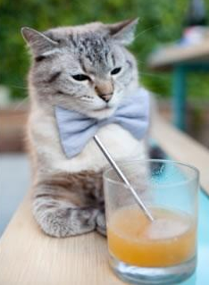 日本乒乓队全力备战东京奥运，状态回升，东京奥运会日本乒乓球团体赛