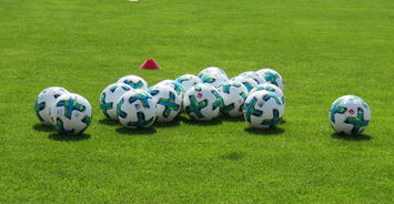 乐鱼体育app网址-足球技战术课程进入大学体育选修课，大学足球选修课考试内容