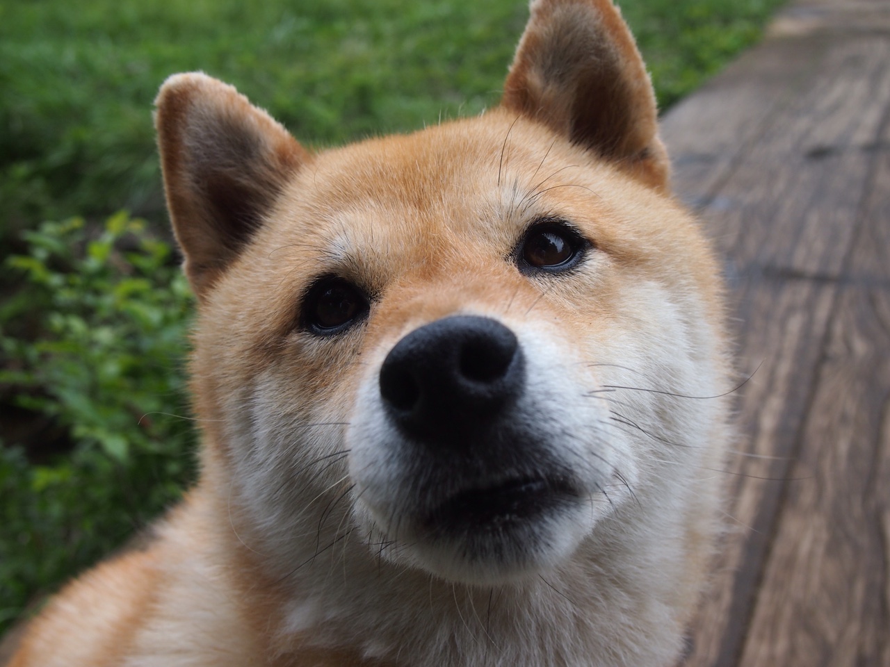 青训球员对抗能力为何未能提前打磨，青训强队