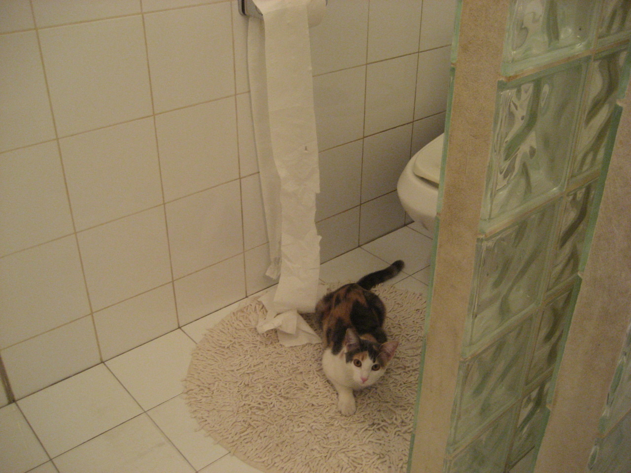 乐鱼体育app网址-世界杯激情激荡：每一场都让人热血沸腾，世界杯精彩瞬间视频