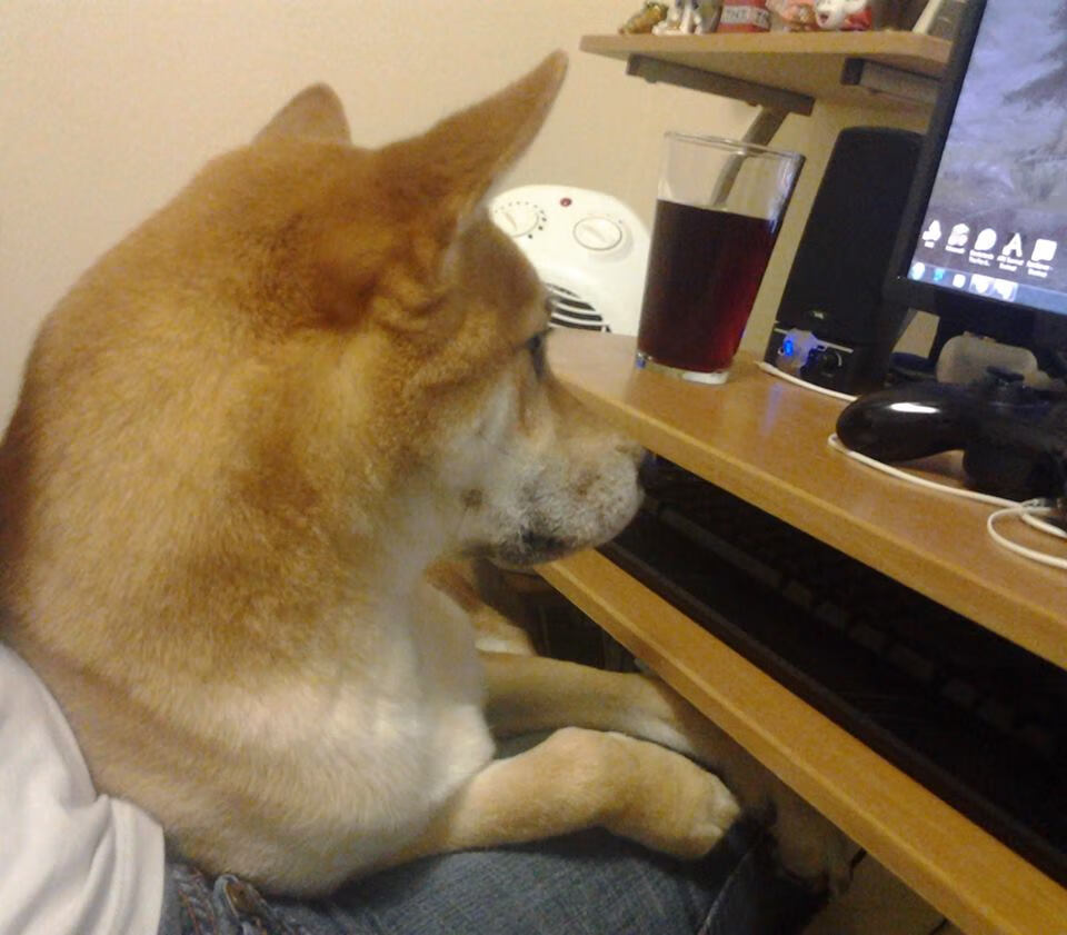 体育新闻中心通报全民健身路径智能升级试点城市进度，全民健身体育设施